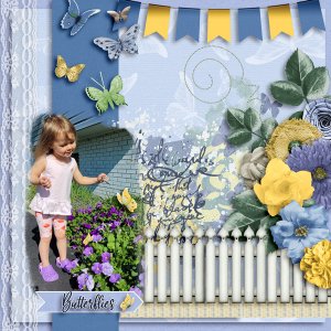 BUTTERFLIES - DD - JUNE 2023