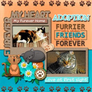 Our Adopted Furbabies