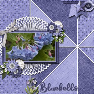 Bluebells