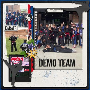 Demo Team