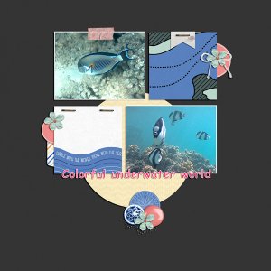 colorful underwater world