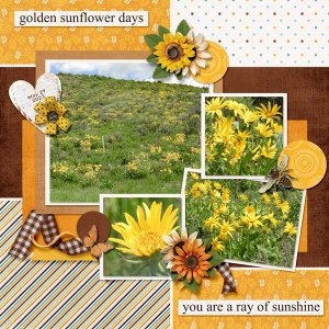 Sunflowers_small