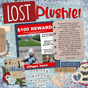 Lost Plushie!!!