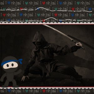 Ninja