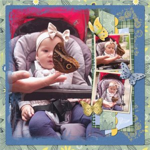Butterfly Bliss
