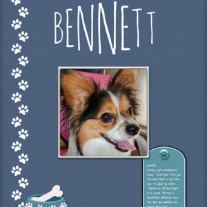 Bennett 6-16-23