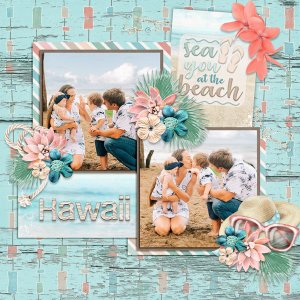 Sea You At The Beach-LDrag
