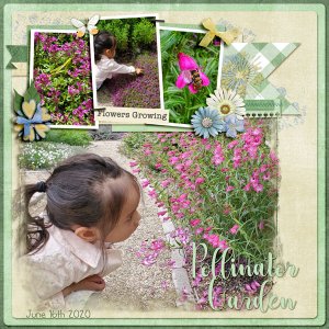 Pollinator Garden