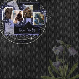 Kit-Paint-Chip-Bluebell--Template-White-Space-Vol-83-3-2022