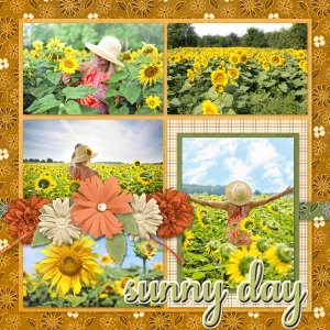 Sunny Day
