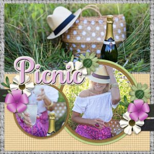 Picnic