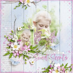 sweet scents