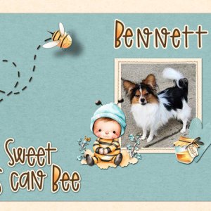 Bennett