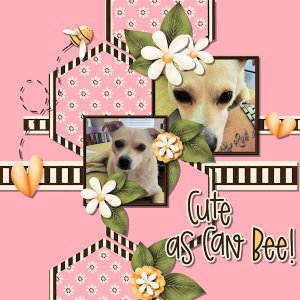 Cute As Can Bee