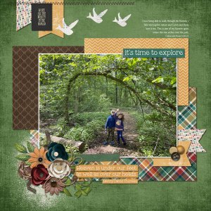 A Walk in the Woods
