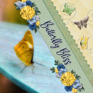 Butterfly Bliss