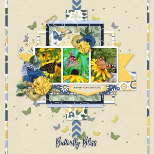 Butterfly Bliss