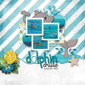Dolphin Cruise