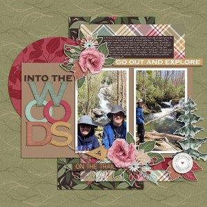 Into the Woods