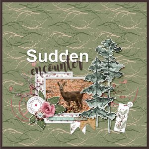 Sudden encounter