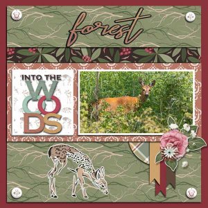 into-the-woods-cornelia-SCR