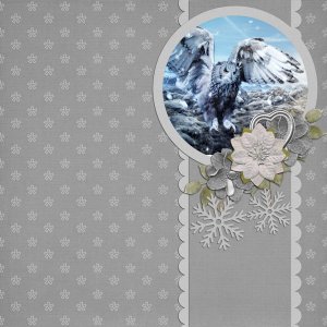 Winter Birds QP