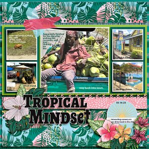 Tropical Mindset-St. Lucia