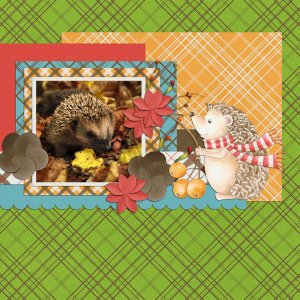 Mr Hedgehog QP
