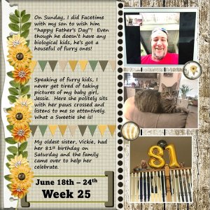 Project 365 Challenge - Week 25