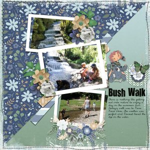 Bush Walk