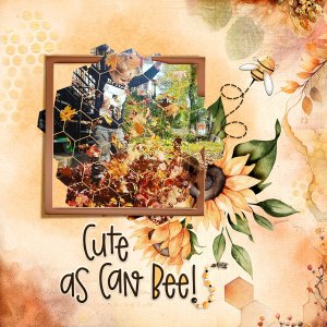Cute As Can Bee !