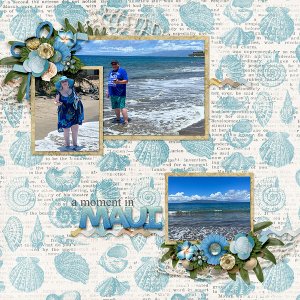A-Moment-in-Maui-web