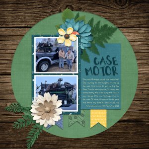 Case Motor