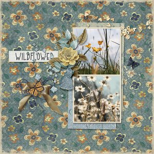 Wildflower