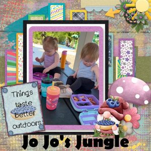 Jo_Jo_s_Jungle_Wren_R