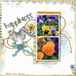 Happy Pansies