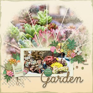 Home Grown Garden
