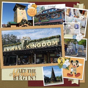 Animal Kingdom