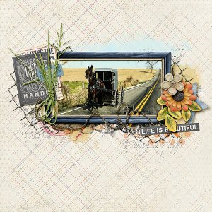 A Little Bit of Country
