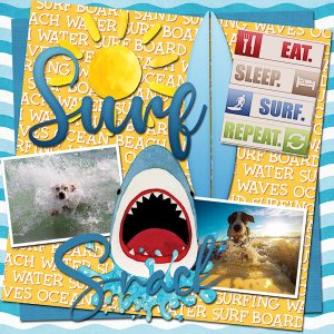 Surf Snack