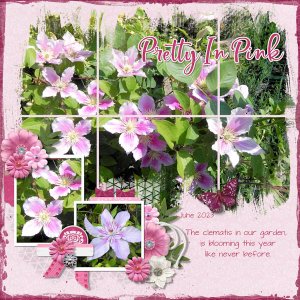 Clematis