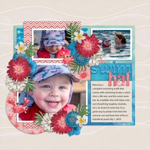 Swim Hat