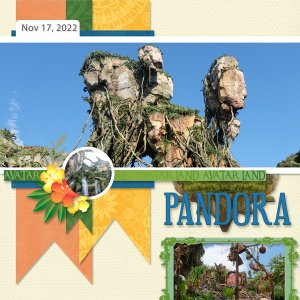 Panoramic Mania