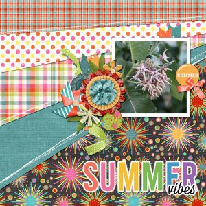 summer milkweed