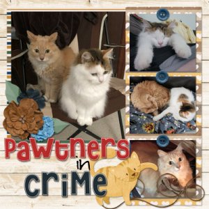 Pawtners in Crime