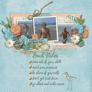 Beach Rules