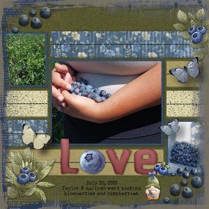 Blueberries