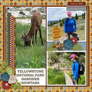 Yellowstone