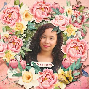 Beauty in Bloom