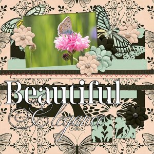 Beuatiful Elegance